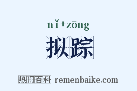 拟踪是什么意思的图片